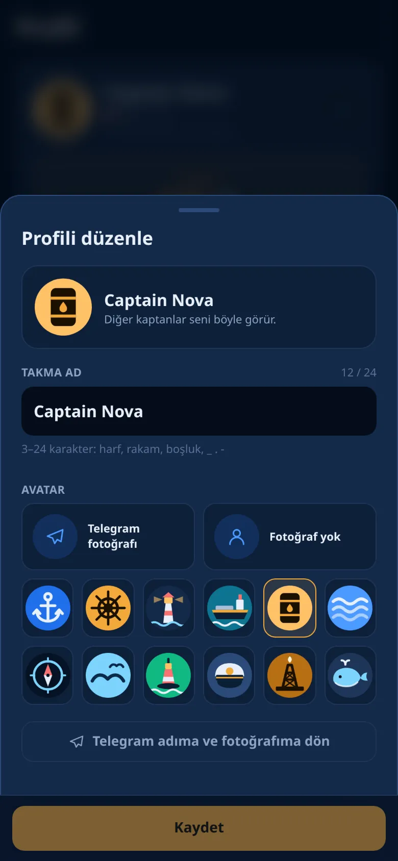 Profil düzenleyici