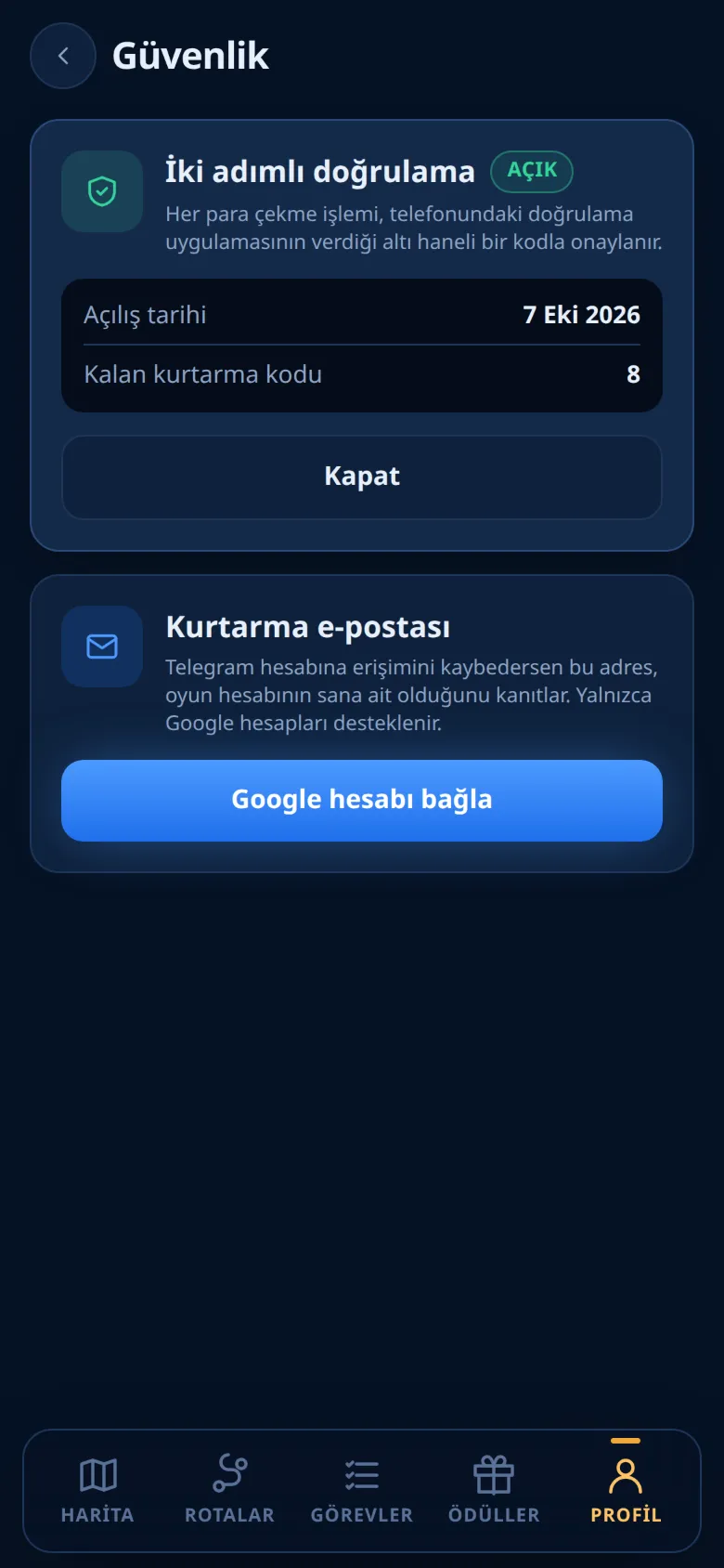 Güvenlik ekranı